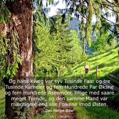 Picture 03 - Job 1:3 DA1871 - Og hans Kvæg var syv Tusinde Faar og tre Tusinde - Bible Verse Picture