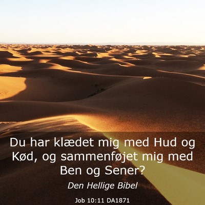 Picture 03 - Job 10:11 DA1871 - Du har klædet mig med Hud og Kød, og - Bible Verse Picture