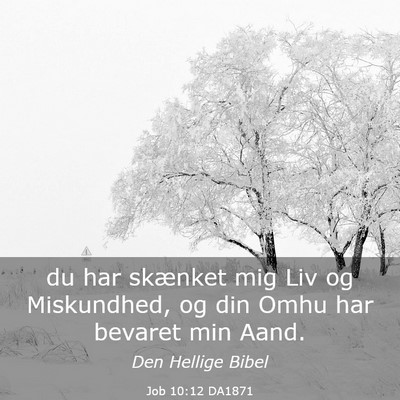Picture 03 - Job 10:12 DA1871 - du har skænket mig Liv og Miskundhed, og din - Bible Verse Picture