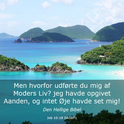 Picture 03 - Job 10:18 DA1871 - Men hvorfor udførte du mig af Moders Liv? jeg - Bible Verse Picture