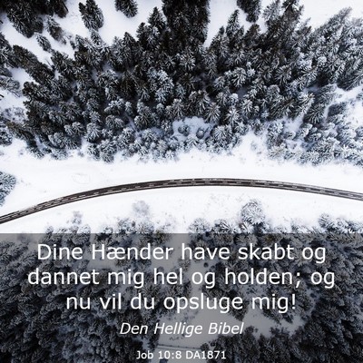 Picture 03 - Job 10:8 DA1871 - Dine Hænder have skabt og dannet mig hel og - Bible Verse Picture