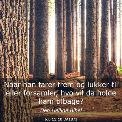 Picture 03 - Job 11:10 DA1871 - Naar han farer frem og lukker til eller - Bible Verse Picture
