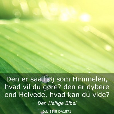 Picture 03 - Job 11:8 DA1871 - Den er saa høj som Himmelen, hvad vil du gøre? - Bible Verse Picture