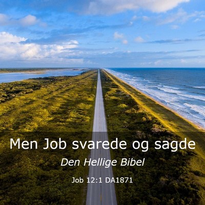 Picture 03 - Job 12:1 DA1871 - Men Job svarede og - Bible Verse Picture