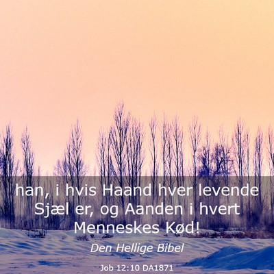 Picture 03 - Job 12:10 DA1871 - han, i hvis Haand hver levende Sjæl er, og - Bible Verse Picture