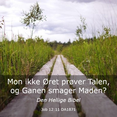 Picture 03 - Job 12:11 DA1871 - Mon ikke Øret prøver Talen, og Ganen smager - Bible Verse Picture