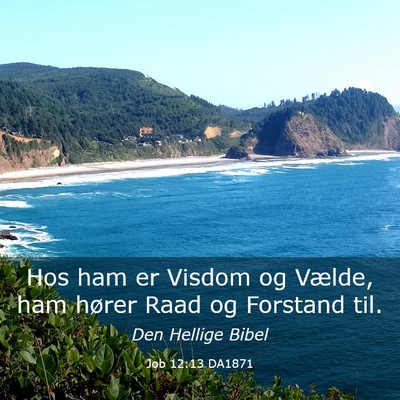 Picture 03 - Job 12:13 DA1871 - Hos ham er Visdom og Vælde, ham hører Raad og - Bible Verse Picture