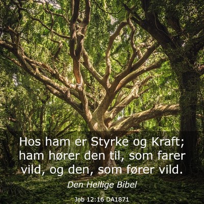 Picture 03 - Job 12:16 DA1871 - Hos ham er Styrke og Kraft; ham hører den til, - Bible Verse Picture