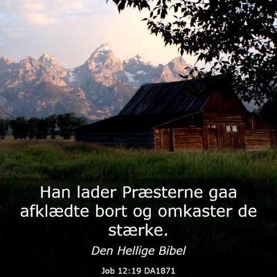 Picture 03 - Job 12:19 DA1871 - Han lader Præsterne gaa afklædte bort og - Bible Verse Picture