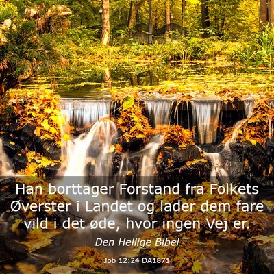 Picture 03 - Job 12:24 DA1871 - Han borttager Forstand fra Folkets Øverster i - Bible Verse Picture