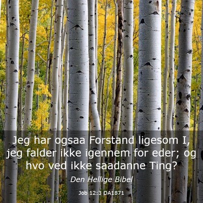 Picture 03 - Job 12:3 DA1871 - Jeg har ogsaa Forstand ligesom I, jeg falder ikke - Bible Verse Picture