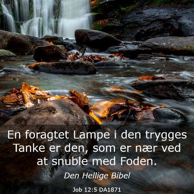 Picture 03 - Job 12:5 DA1871 - En foragtet Lampe i den trygges Tanke er den, som - Bible Verse Picture