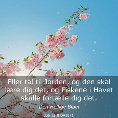 Picture 03 - Job 12:8 DA1871 - Eller tal til Jorden, og den skal lære dig det, - Bible Verse Picture