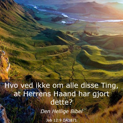 Picture 03 - Job 12:9 DA1871 - Hvo ved ikke om alle disse Ting, at Herrens Haand - Bible Verse Picture
