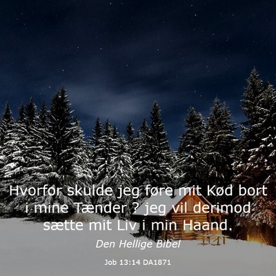 Picture 03 - Job 13:14 DA1871 - Hvorfor skulde jeg føre mit Kød bort i mine - Bible Verse Picture