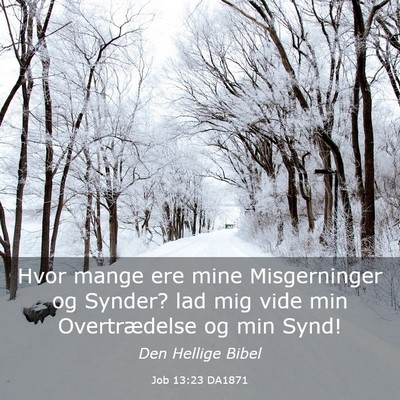 Picture 03 - Job 13:23 DA1871 - Hvor mange ere mine Misgerninger og Synder? lad - Bible Verse Picture