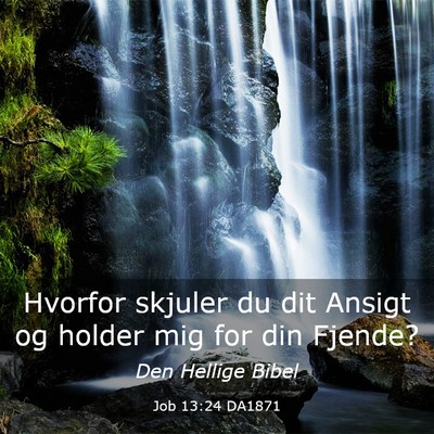 Picture 03 - Job 13:24 DA1871 - Hvorfor skjuler du dit Ansigt og holder mig for - Bible Verse Picture