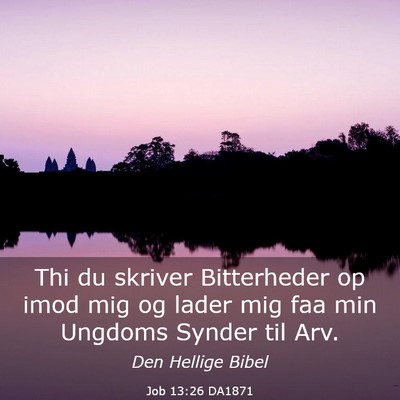 Picture 03 - Job 13:26 DA1871 - Thi du skriver Bitterheder op imod mig og lader - Bible Verse Picture