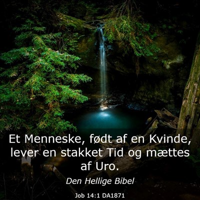 Picture 03 - Job 14:1 DA1871 - Et Menneske, født af en Kvinde, lever en stakket - Bible Verse Picture