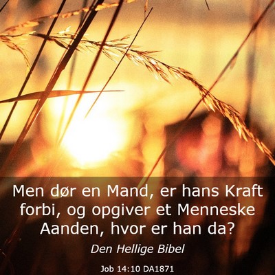 Picture 03 - Job 14:10 DA1871 - Men dør en Mand, er hans Kraft forbi, og opgiver - Bible Verse Picture