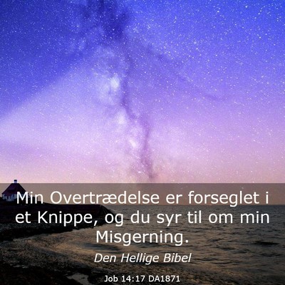 Picture 03 - Job 14:17 DA1871 - Min Overtrædelse er forseglet i et Knippe, og du - Bible Verse Picture