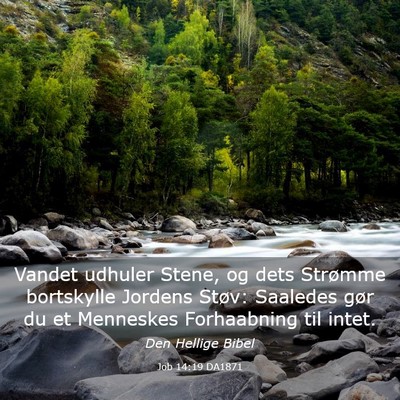 Picture 03 - Job 14:19 DA1871 - Vandet udhuler Stene, og dets Strømme bortskylle - Bible Verse Picture