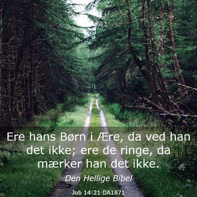 Picture 03 - Job 14:21 DA1871 - Ere hans Børn i Ære, da ved han det ikke; ere - Bible Verse Picture