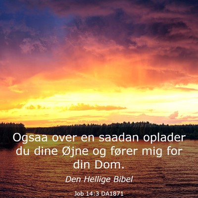 Picture 03 - Job 14:3 DA1871 - Ogsaa over en saadan oplader du dine Øjne og - Bible Verse Picture