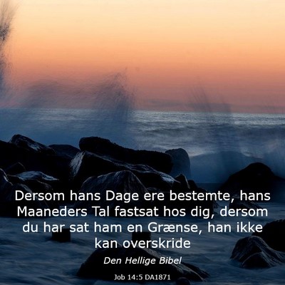 Picture 03 - Job 14:5 DA1871 - Dersom hans Dage ere bestemte, hans Maaneders Tal - Bible Verse Picture