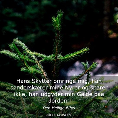 Picture 03 - Job 16:13 DA1871 - Hans Skytter omringe mig, han sønderskærer mine - Bible Verse Picture