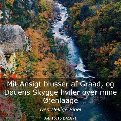 Picture 03 - Job 16:16 DA1871 - Mit Ansigt blusser af Graad, og Dødens Skygge - Bible Verse Picture