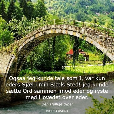 Picture 03 - Job 16:4 DA1871 - Ogsaa jeg kunde tale som I, var kun eders Sjæl i - Bible Verse Picture