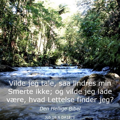 Picture 03 - Job 16:6 DA1871 - Vilde jeg tale, saa lindres min Smerte ikke; og - Bible Verse Picture