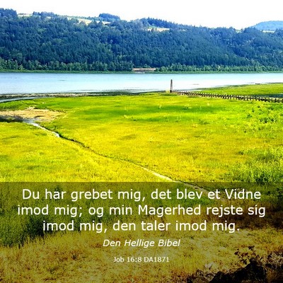 Picture 03 - Job 16:8 DA1871 - Du har grebet mig, det blev et Vidne imod mig; og - Bible Verse Picture