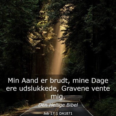 Picture 03 - Job 17:1 DA1871 - Min Aand er brudt, mine Dage ere udslukkede, - Bible Verse Picture