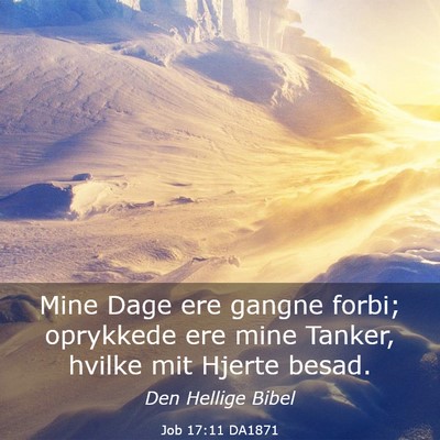 Picture 03 - Job 17:11 DA1871 - Mine Dage ere gangne forbi; oprykkede ere mine - Bible Verse Picture