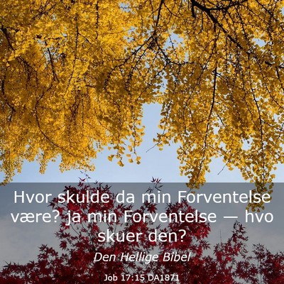 Picture 03 - Job 17:15 DA1871 - Hvor skulde da min Forventelse være? ja min - Bible Verse Picture