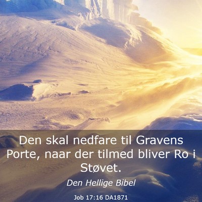 Picture 03 - Job 17:16 DA1871 - Den skal nedfare til Gravens Porte, naar der - Bible Verse Picture