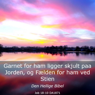 Picture 03 - Job 18:10 DA1871 - Garnet for ham ligger skjult paa Jorden, og - Bible Verse Picture