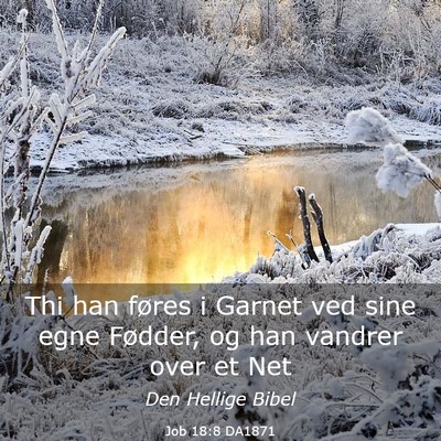 Picture 03 - Job 18:8 DA1871 - Thi han føres i Garnet ved sine egne Fødder, og - Bible Verse Picture