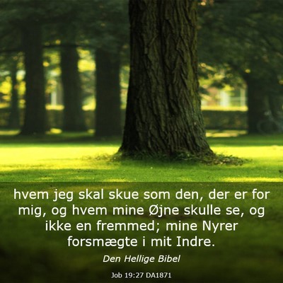 Picture 03 - Job 19:27 DA1871 - hvem jeg skal skue som den, der er for mig, og - Bible Verse Picture