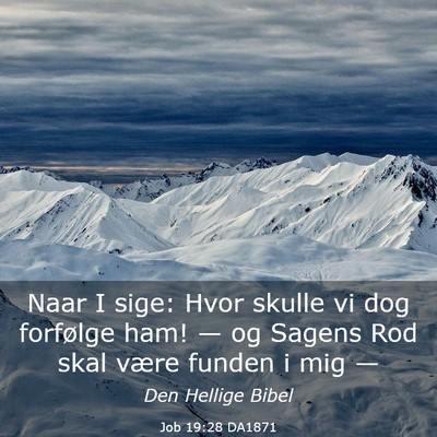 Picture 03 - Job 19:28 DA1871 - Naar I sige: Hvor skulle vi dog forfølge ham! - Bible Verse Picture