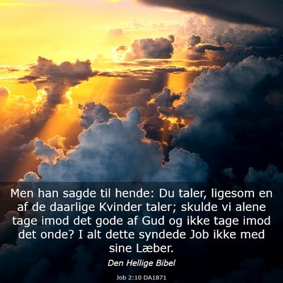 Picture 03 - Job 2:10 DA1871 - Men han sagde til hende: Du taler, ligesom en af - Bible Verse Picture