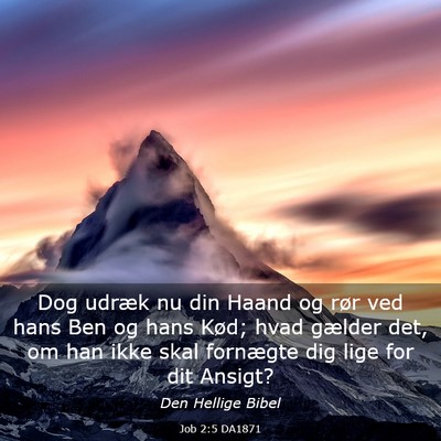 Picture 03 - Job 2:5 DA1871 - Dog udræk nu din Haand og rør ved hans Ben og - Bible Verse Picture