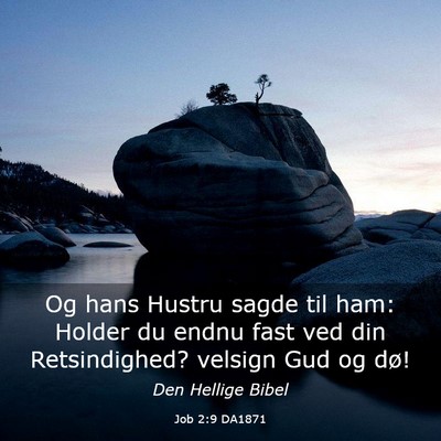 Picture 03 - Job 2:9 DA1871 - Og hans Hustru sagde til ham: Holder du endnu - Bible Verse Picture