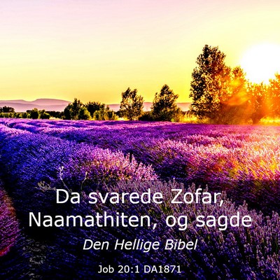 Picture 03 - Job 20:1 DA1871 - Da svarede Zofar, Naamathiten, og - Bible Verse Picture