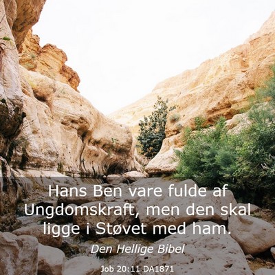 Picture 03 - Job 20:11 DA1871 - Hans Ben vare fulde af Ungdomskraft, men den skal - Bible Verse Picture
