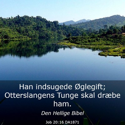 Picture 03 - Job 20:16 DA1871 - Han indsugede Øglegift; Otterslangens Tunge skal - Bible Verse Picture