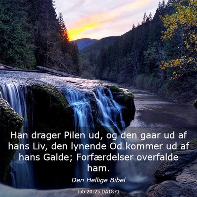 Picture 03 - Job 20:25 DA1871 - Han drager Pilen ud, og den gaar ud af hans Liv, - Bible Verse Picture