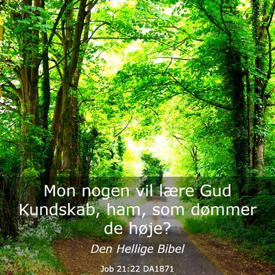 Picture 03 - Job 21:22 DA1871 - Mon nogen vil lære Gud Kundskab, ham, som - Bible Verse Picture